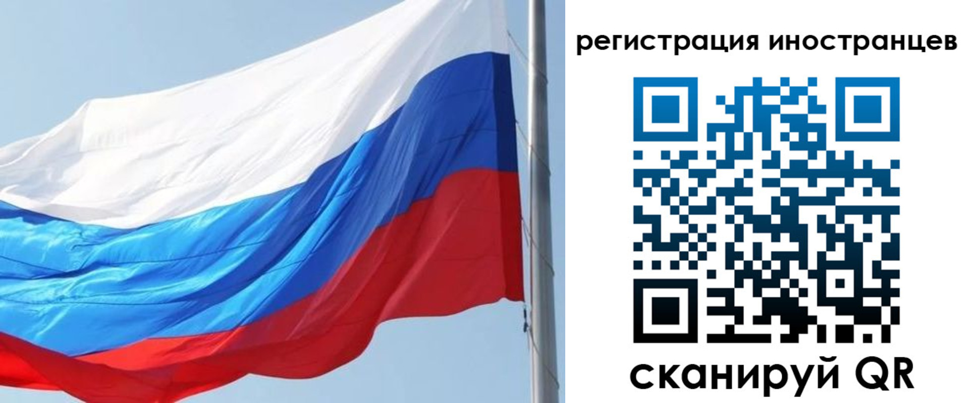 прописка 2025 в Невеле